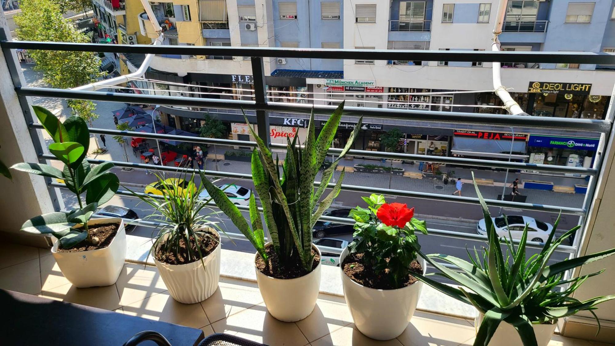 Marinela Apartment ติรานา ภายนอก รูปภาพ